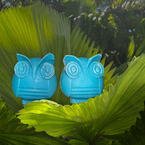 2 Owls - Blueberry Blast