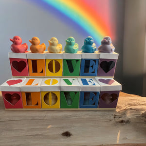 Pride Duck Gift Set